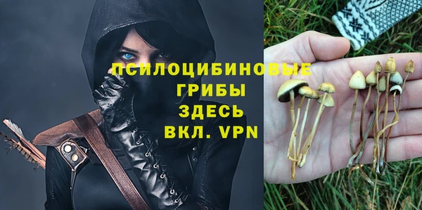 мдпв Лиски