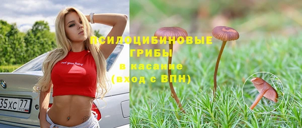 мдпв Лиски