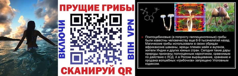 Псилоцибиновые грибы прущие грибы  Купить закладки  Березники 